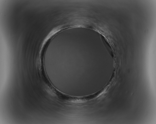 X0000087410198200705041254