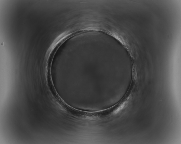 X0000087410199200705041254