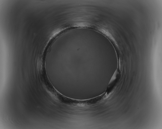 X0000087410204200705041254