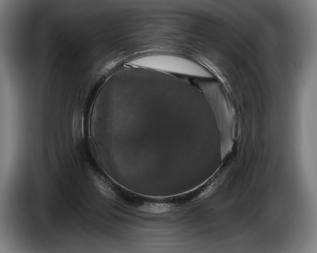 X0000087410205200705041254