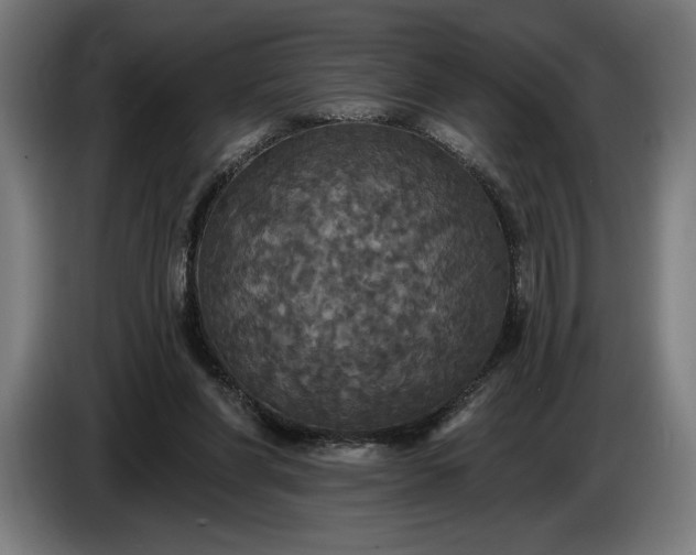 X0000087410206200705041254