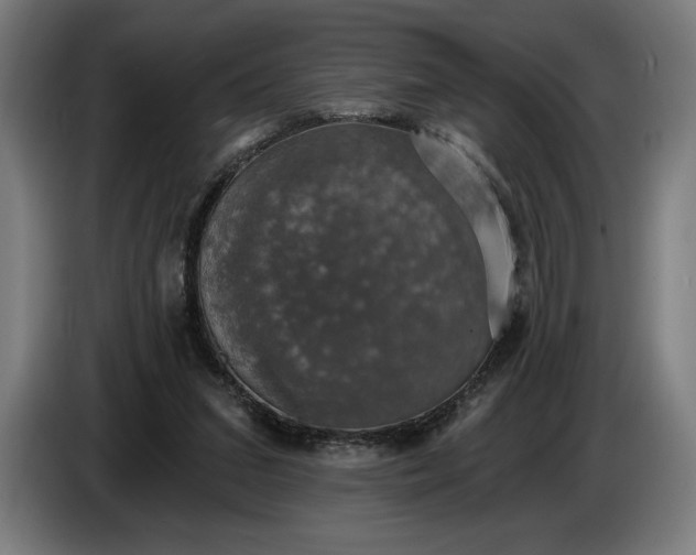 X0000087410207200705041254