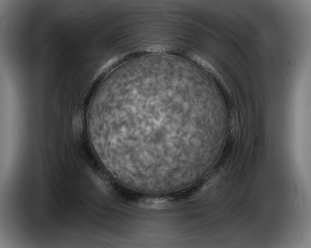 X0000087410208200705041254