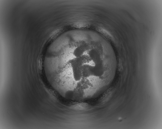 X0000087410210200705041254