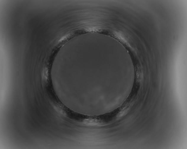 X0000087410211200705041254