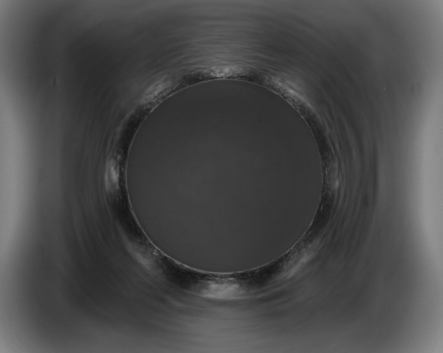 X0000087410214200705041254