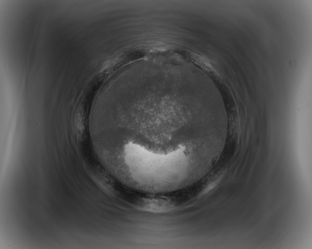 X0000087410215200705041254