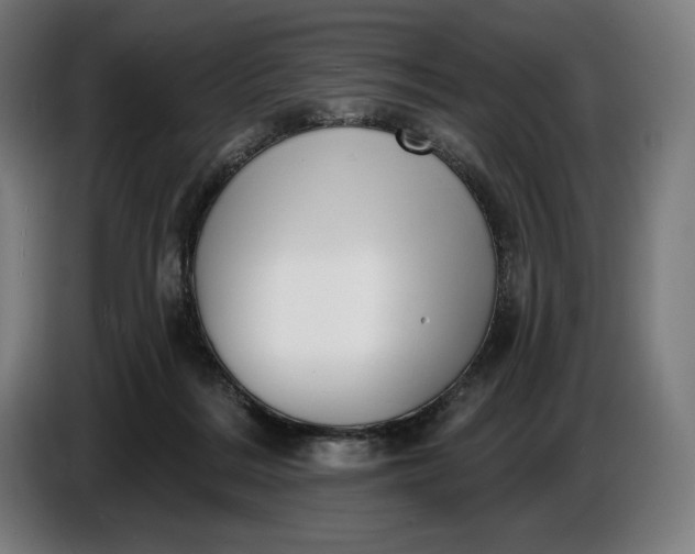 X0000087410220200705041254