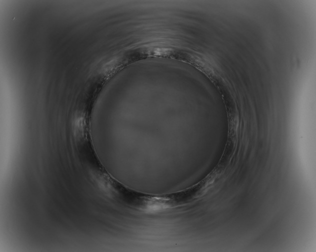 X0000087410222200705041254