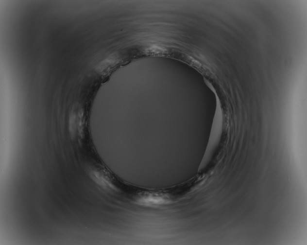 X0000087410223200705041254