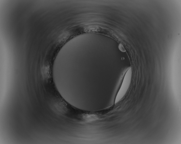 X0000087410224200705041254