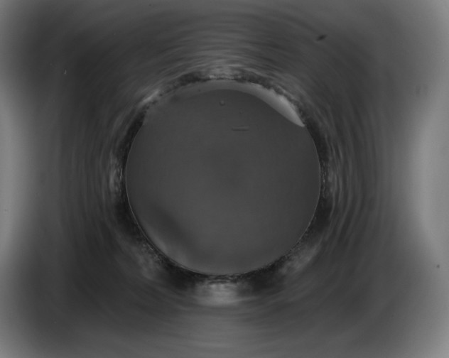 X0000087410228200705041254