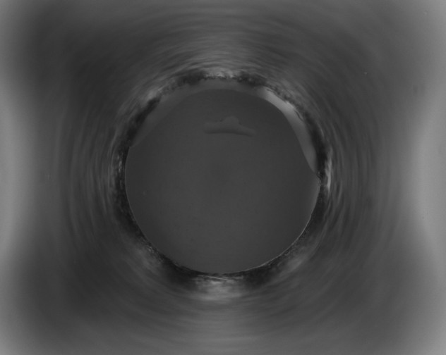 X0000087410229200705041254