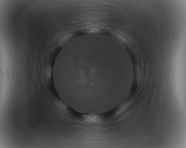 X0000087410230200705041254