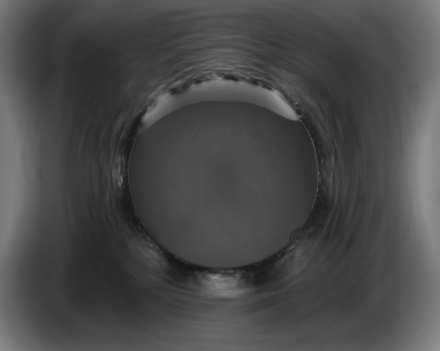 X0000087410232200705041254