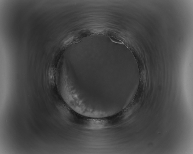 X0000087410234200705041254