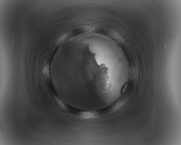 X0000087410238200705041254