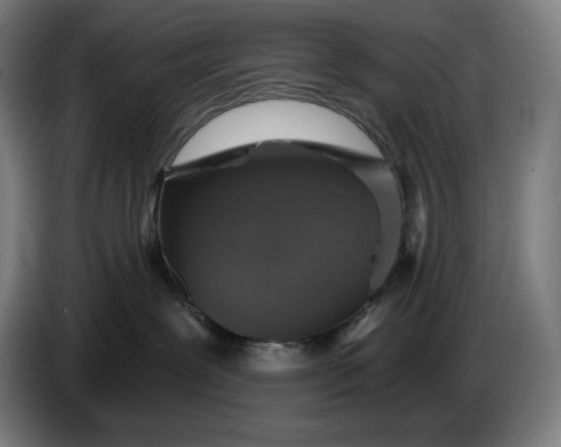 X0000087410239200705041254