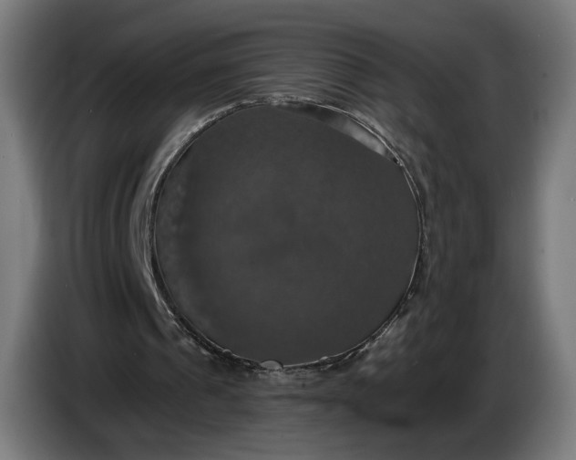 X0000087410241200705041253