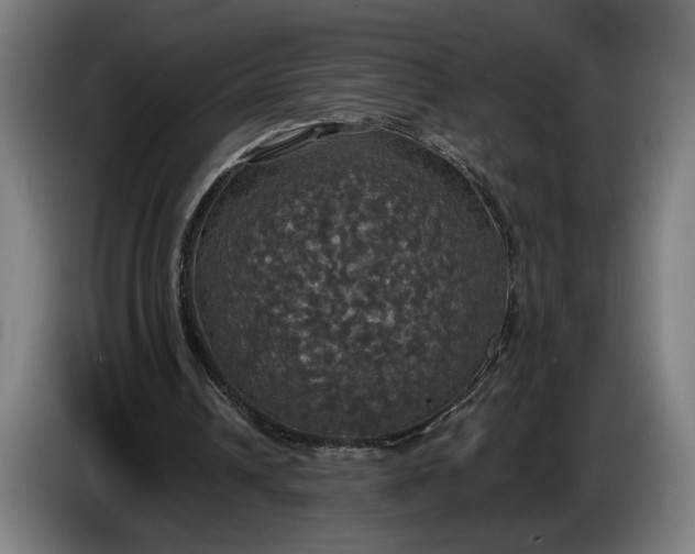 X0000087410242200705041253