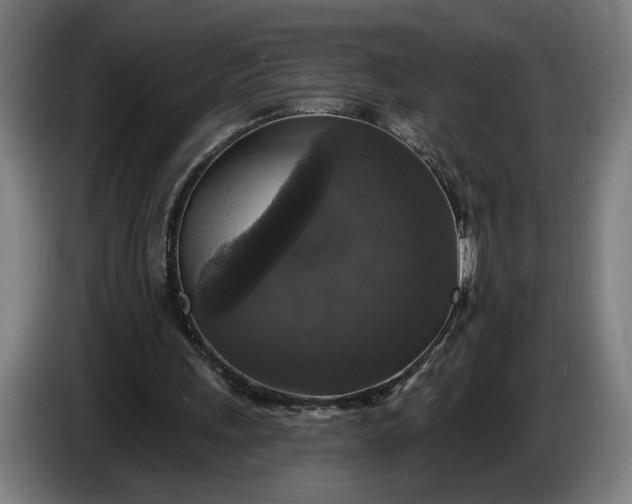 X0000087410243200705041253