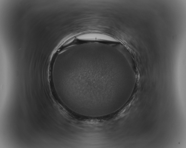 X0000087410244200705041253