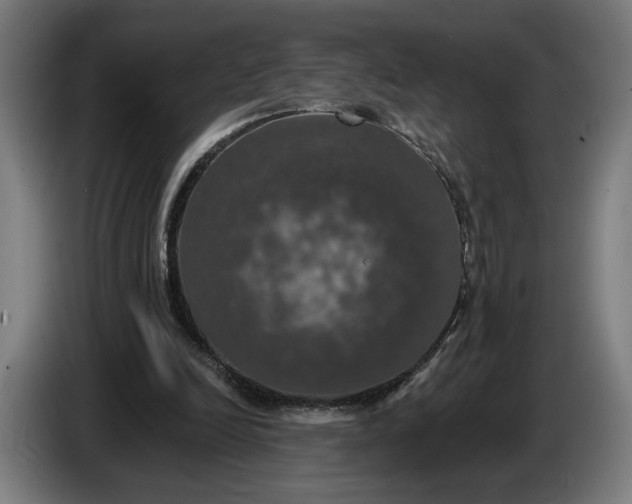 X0000087410246200705041253