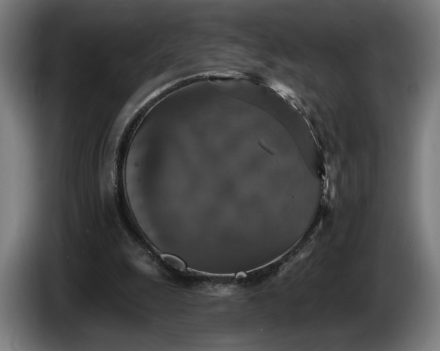 X0000087410247200705041253