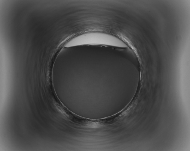 X0000087410249200705041253