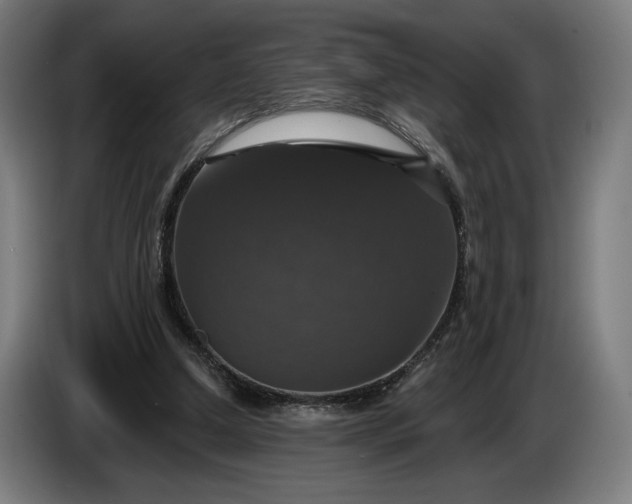 X0000087410250200705041253