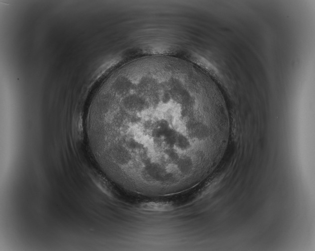 X0000087410251200705041253