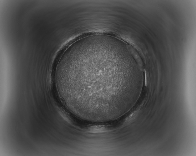 X0000087410252200705041253