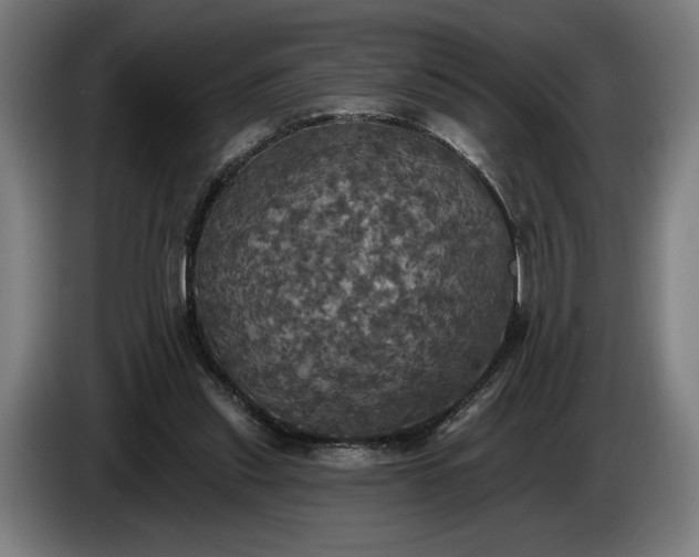 X0000087410253200705041253