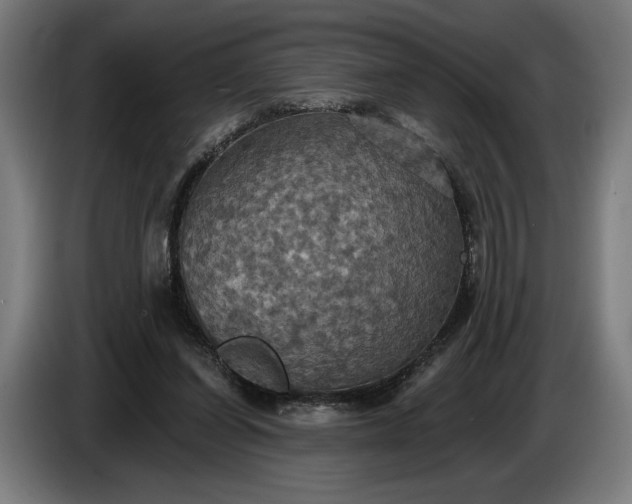 X0000087410254200705041253