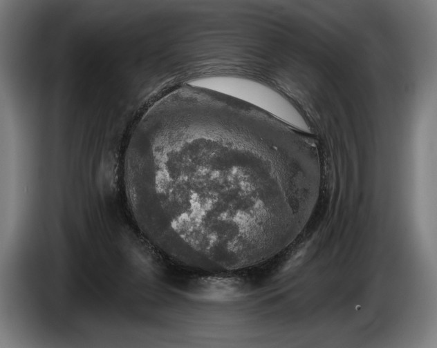 X0000087410255200705041253