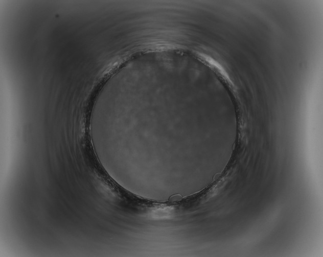 X0000087410257200705041253