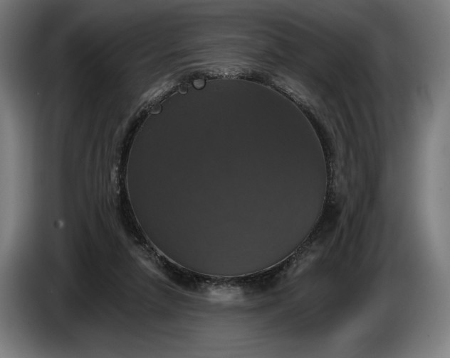 X0000087410258200705041253