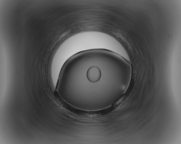 X0000087410260200705041253