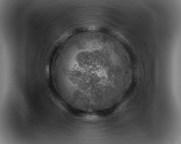 X0000087410262200705041254