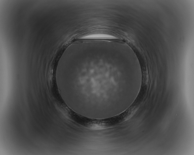 X0000087410263200705041254