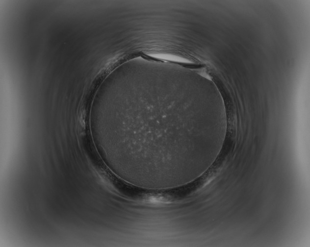 X0000087410264200705041254