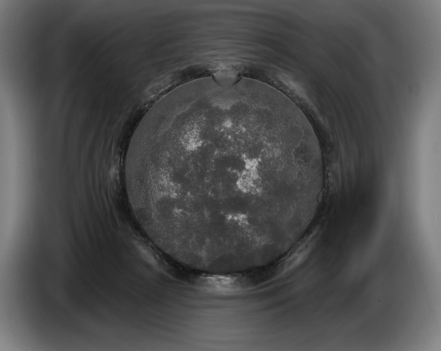 X0000087410265200705041254