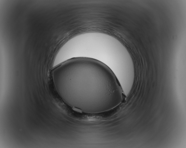 X0000087410268200705041254