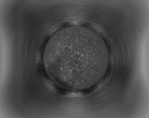 X0000087410270200705041254