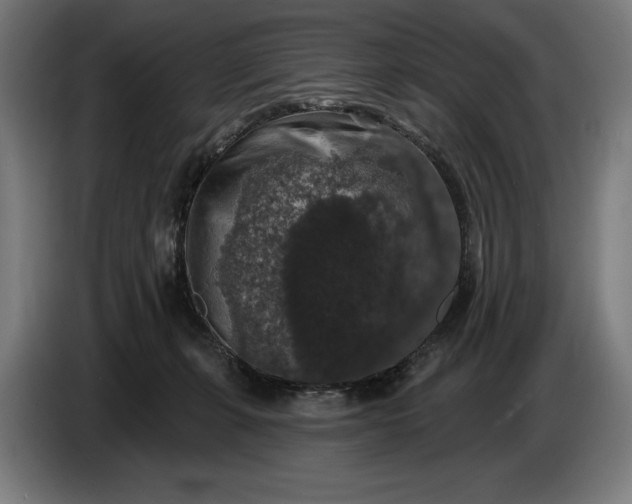 X0000087410271200705041254