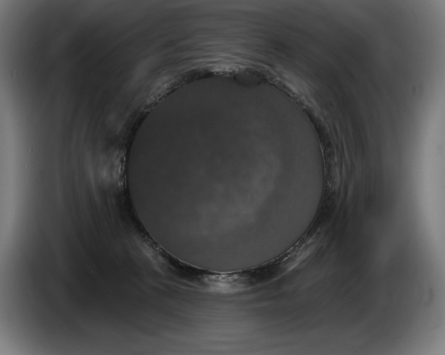 X0000087410273200705041254