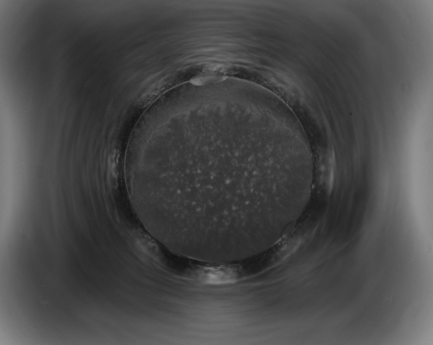 X0000087410275200705041254