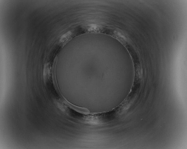 X0000087410276200705041254