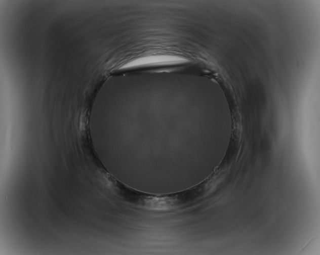 X0000087410277200705041254