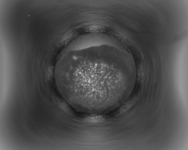 X0000087410278200705041254